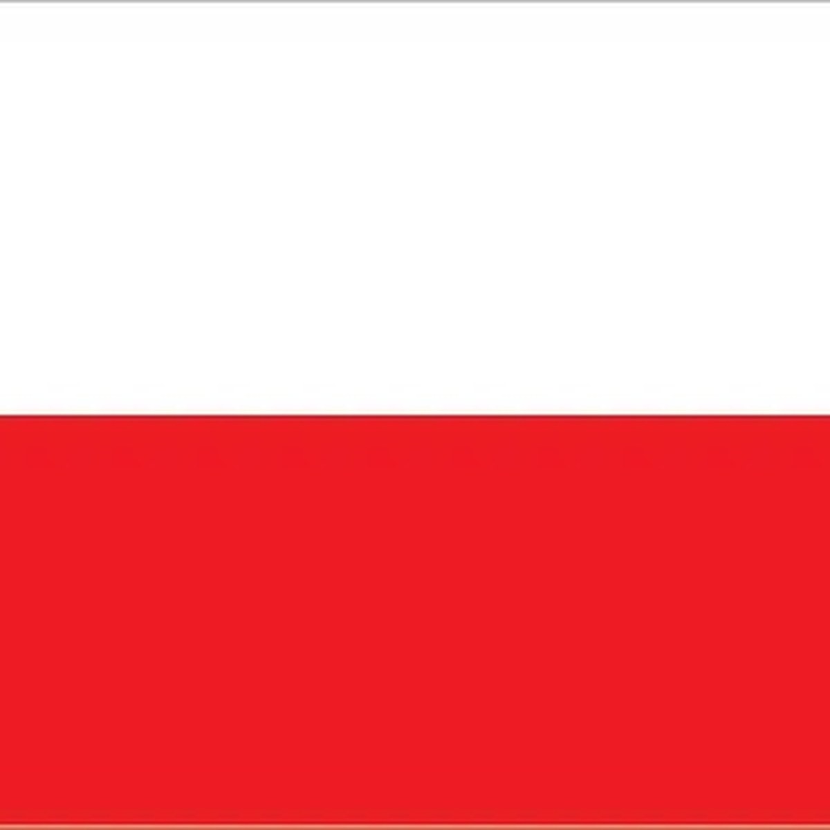 Somebody's flag